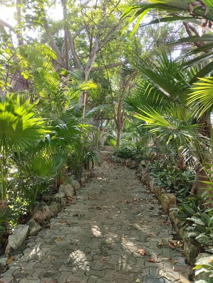 Casa Palmita Hotel Playa del Carmen Mexico