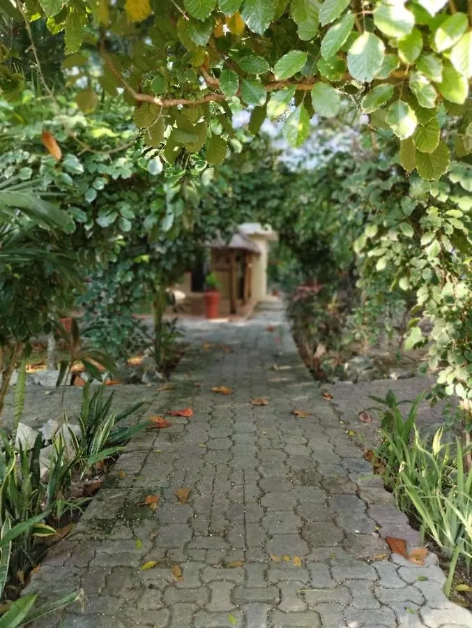 Casa Palmita Hotel Playa del Carmen Guest house