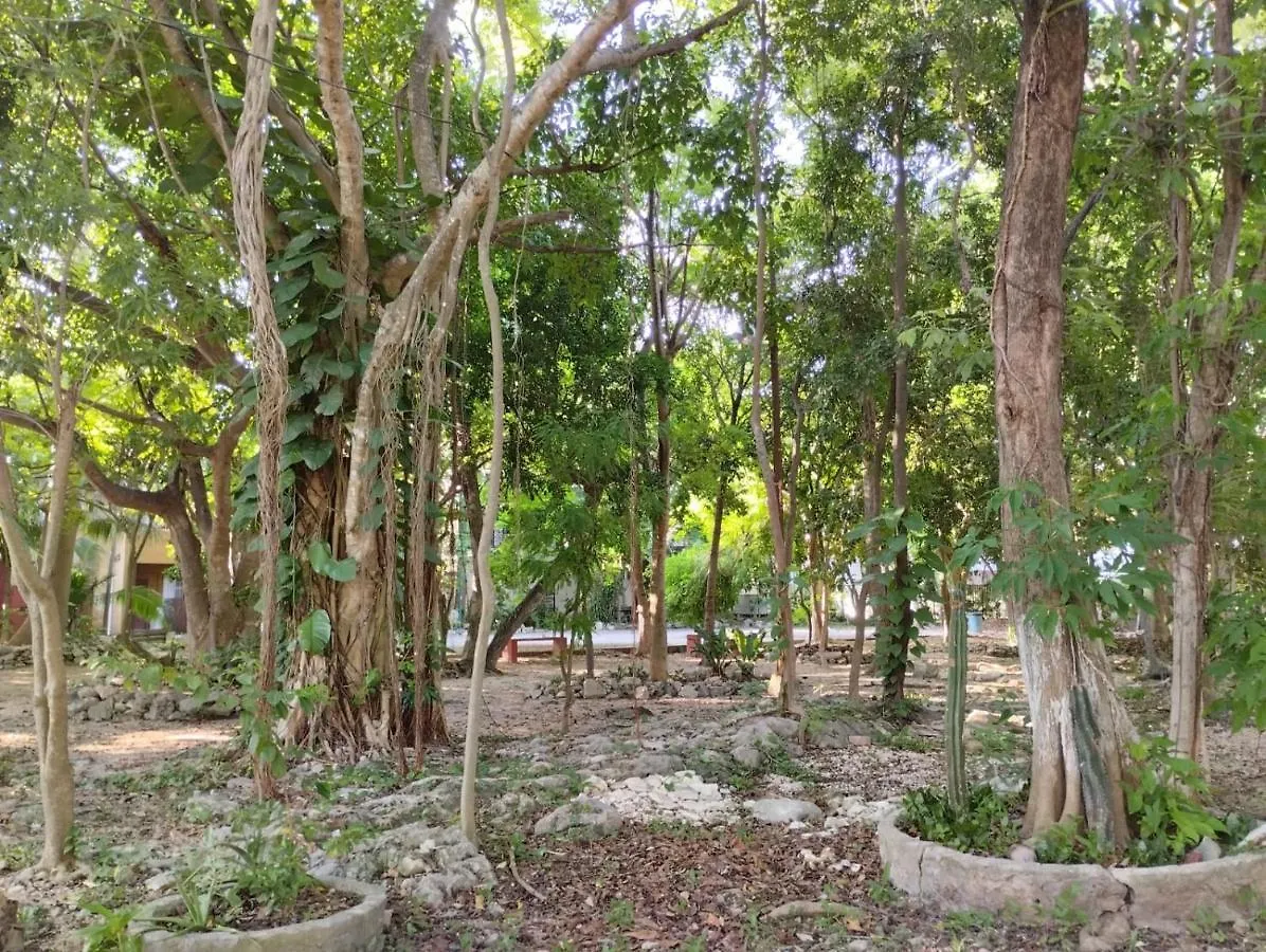 Pensionat Casa Palmita Hotell Playa del Carmen Mexiko