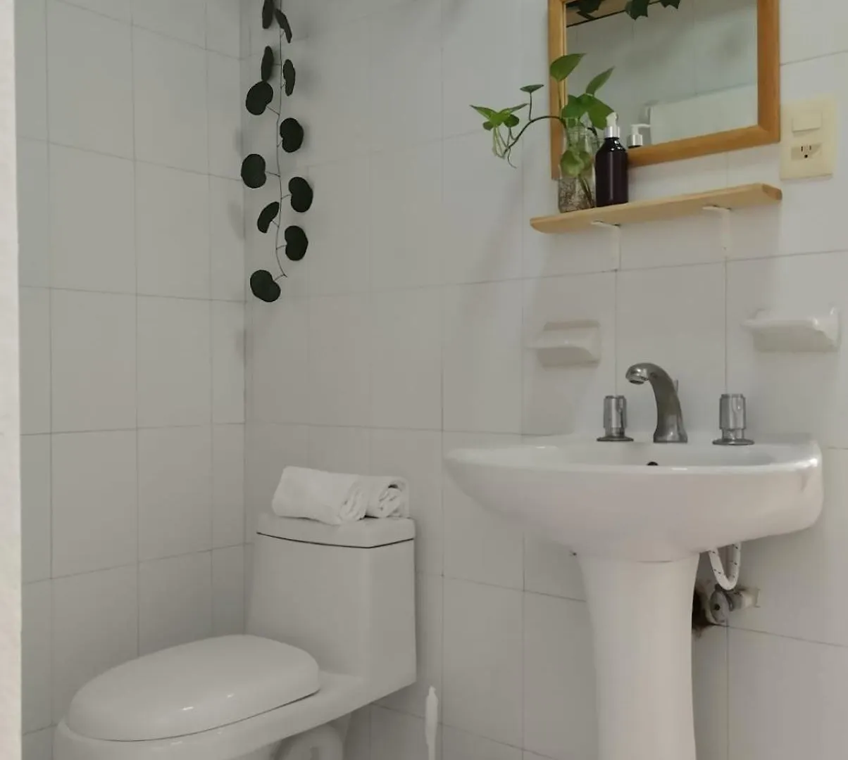 Casa Palmita Hotell Playa del Carmen Mexiko