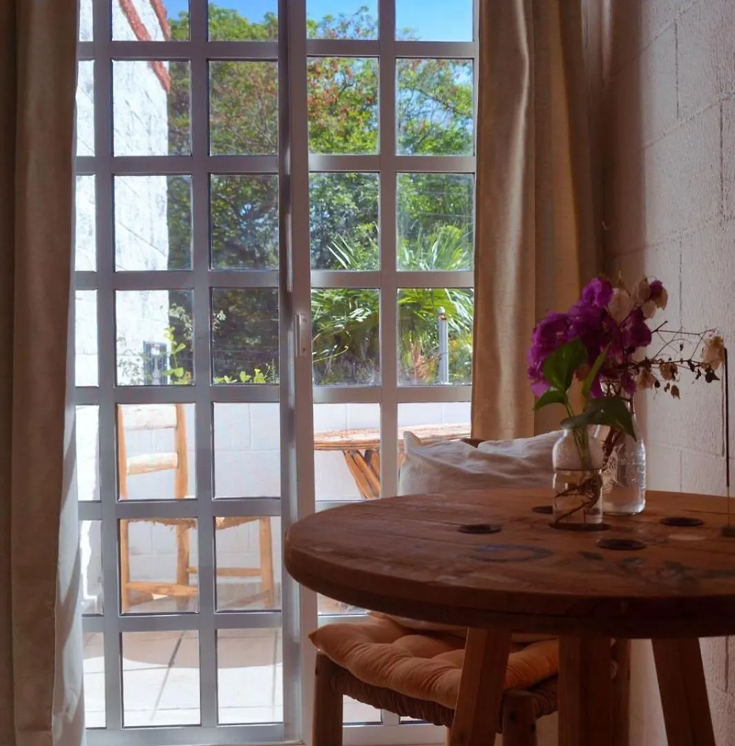 Pensionat Casa Palmita Hotell Playa del Carmen