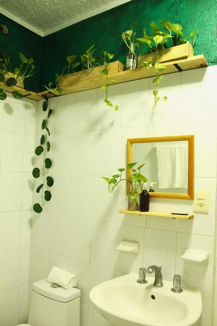 Pensionat Casa Palmita Hotell Playa del Carmen