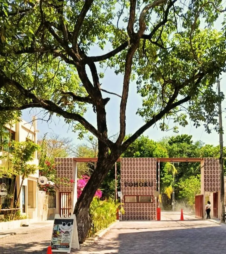 Casa Palmita Hotell Playa del Carmen Pensionat